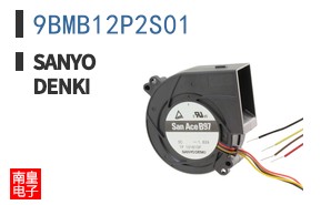9BMB12P2S01 ͼƬ